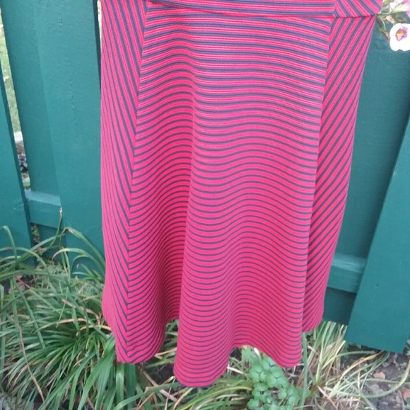 Express Striped Sleeveless Skater Dress - Picture 8 of 8